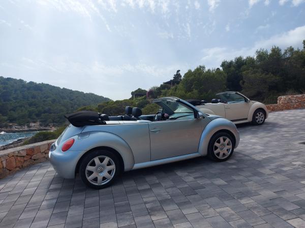 Beetle Cabrio